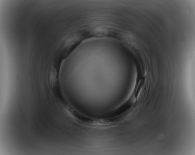 X0000083970231200703091809