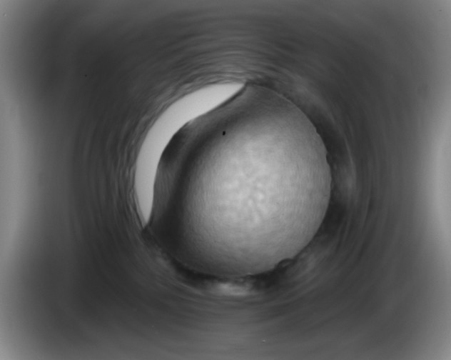 X0000083970232200703091809