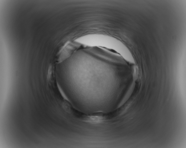 X0000083970233200703091809