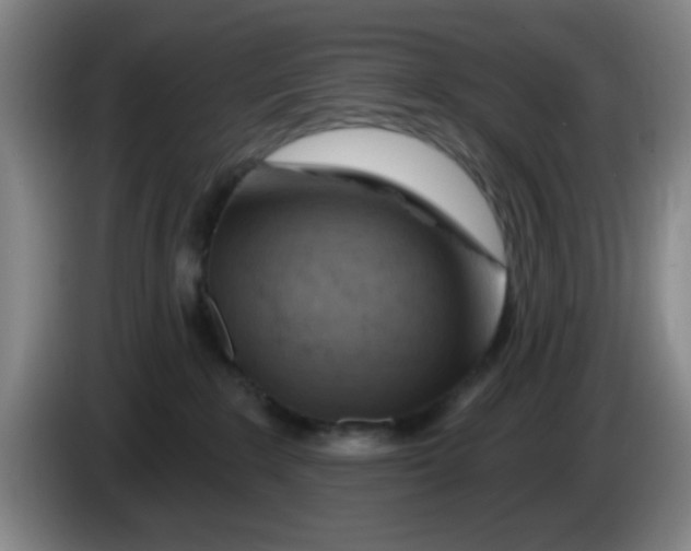 X0000083970235200703091809