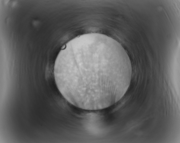 X0000083970236200703091809