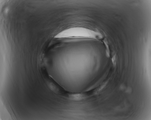 X0000083970237200703091809