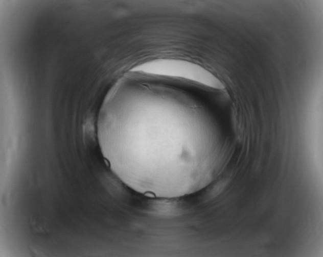 X0000083970238200703091809