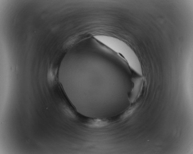 X0000083970239200703091809