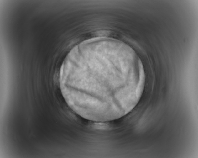 X0000083970240200703091809