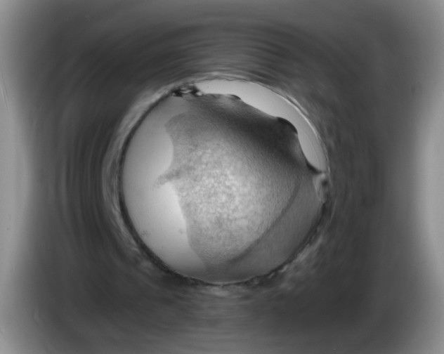 X0000083970241200703091809