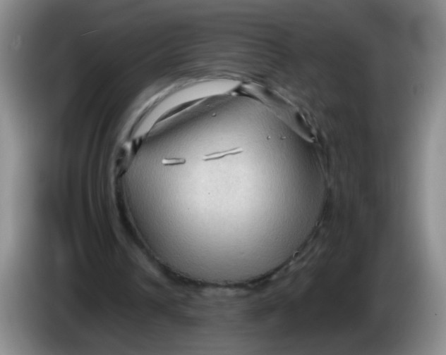 X0000083970242200703091809