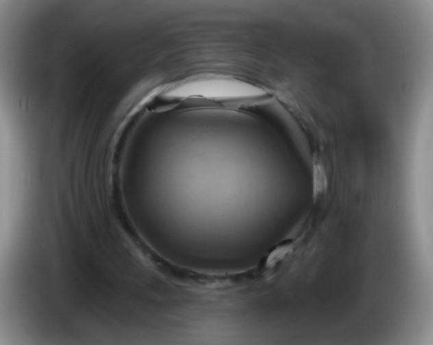 X0000083970243200703091809