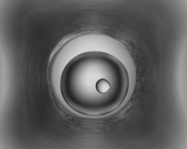 X0000083970244200703091809