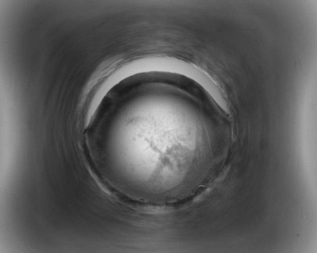 X0000083970245200703091809