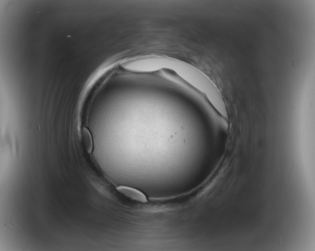 X0000083970246200703091809
