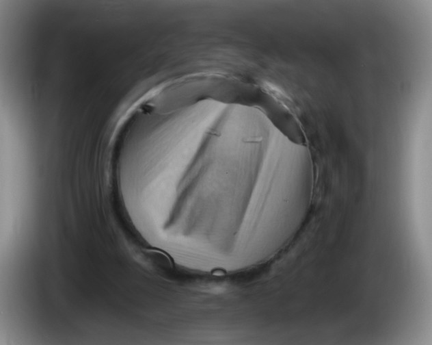 X0000083970247200703091809