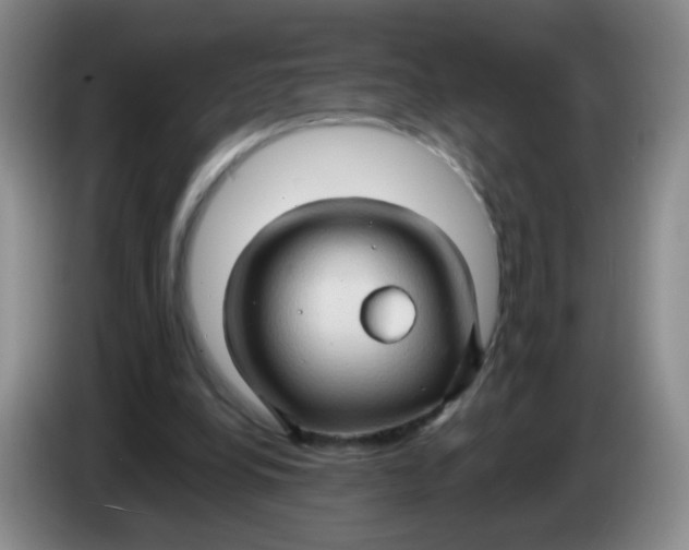 X0000083970248200703091809