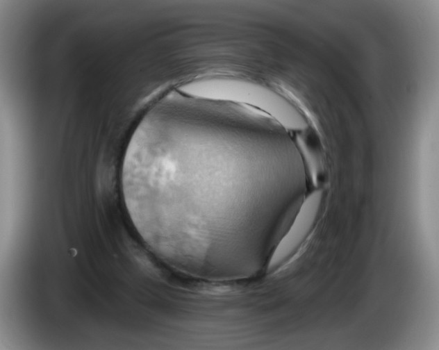 X0000083970249200703091809