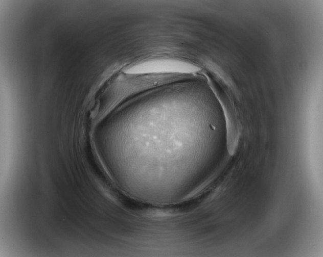 X0000083970250200703091809