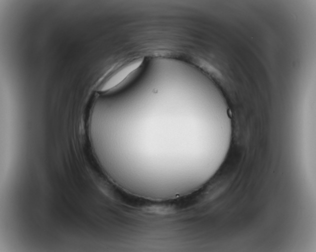 X0000083970251200703091809