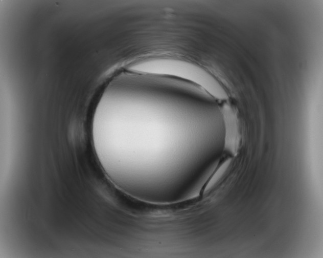 X0000083970252200703091809