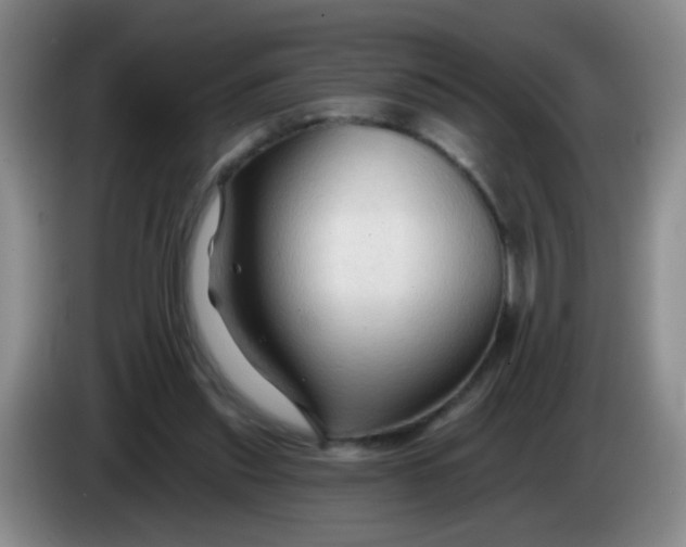X0000083970253200703091809