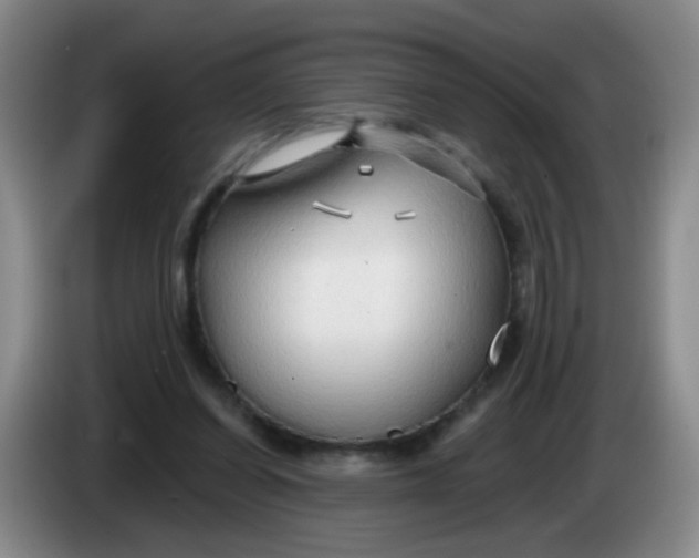 X0000083970254200703091809