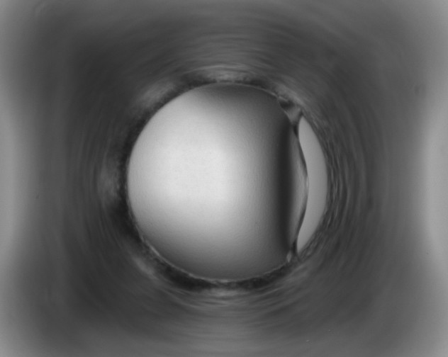 X0000083970255200703091809