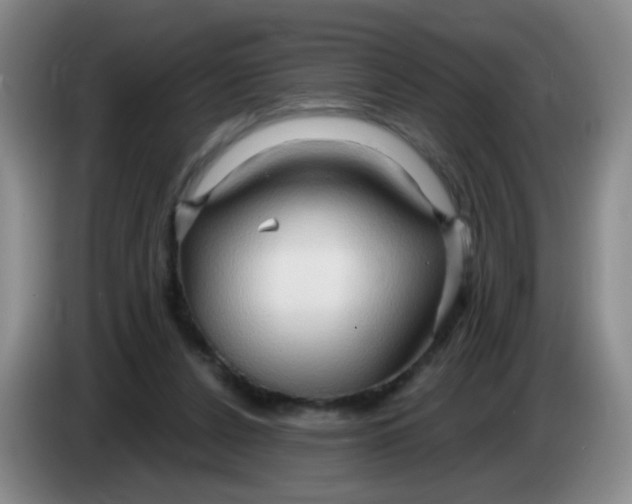 X0000083970256200703091809