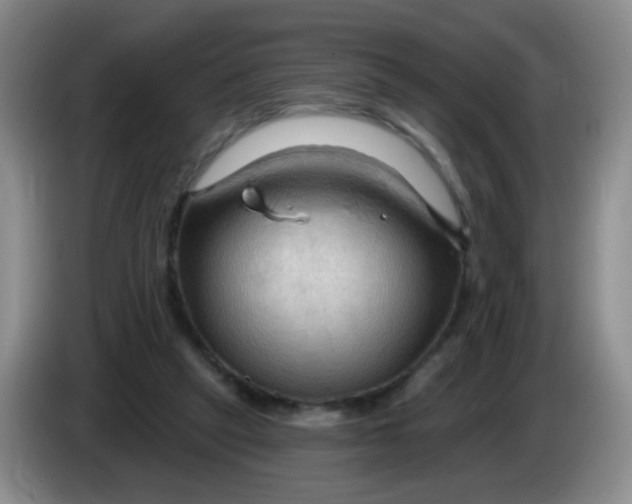 X0000083970257200703091809