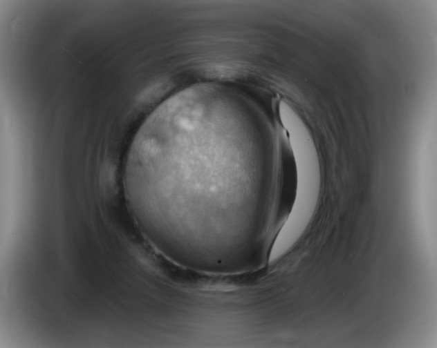 X0000083970258200703091809