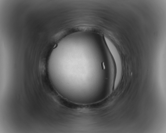 X0000083970259200703091809