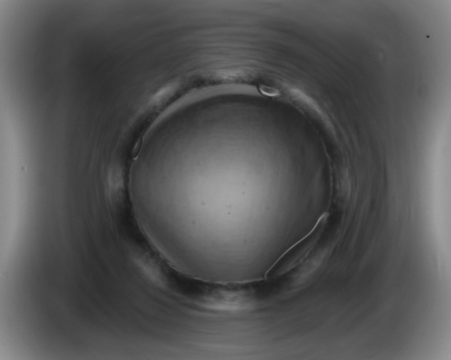 X0000083970260200703091809