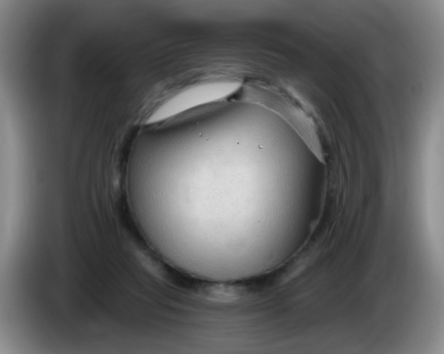 X0000083970261200703091809