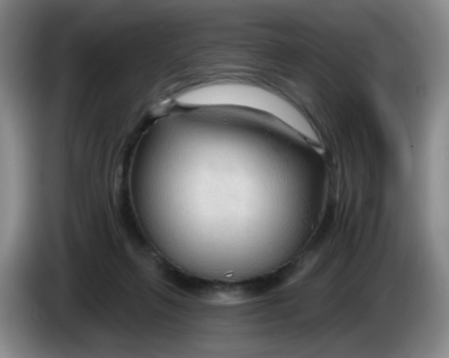 X0000083970263200703091809
