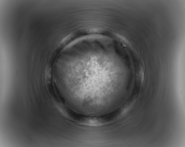 X0000083970264200703091809