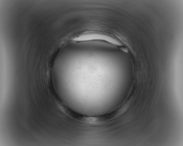 X0000083970265200703091809