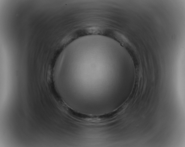 X0000083970266200703091809