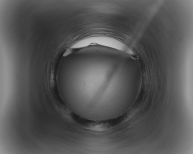 X0000083970267200703091809