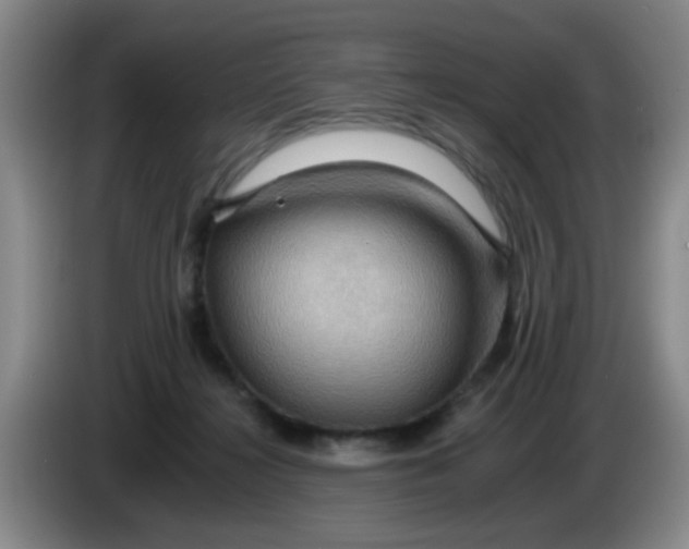 X0000083970268200703091809