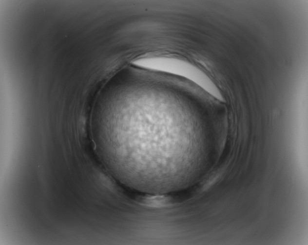 X0000083970269200703091809