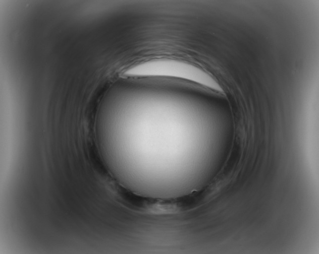 X0000083970270200703091809