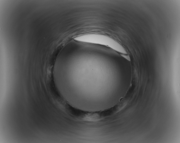 X0000083970271200703091809