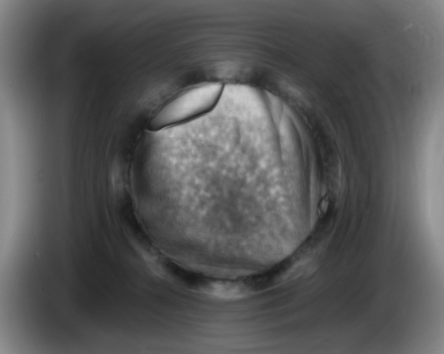 X0000083970272200703091809