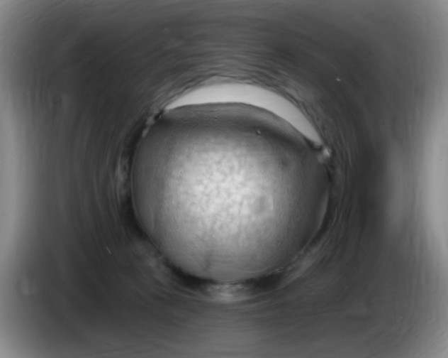 X0000083970273200703091809