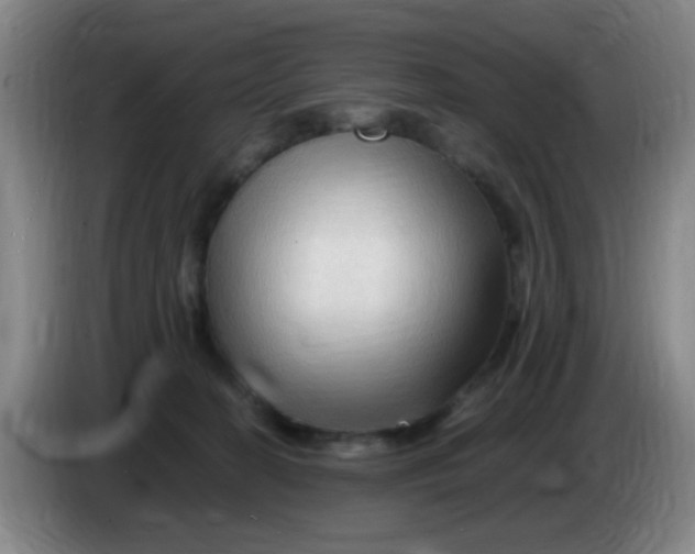X0000083970274200703091809