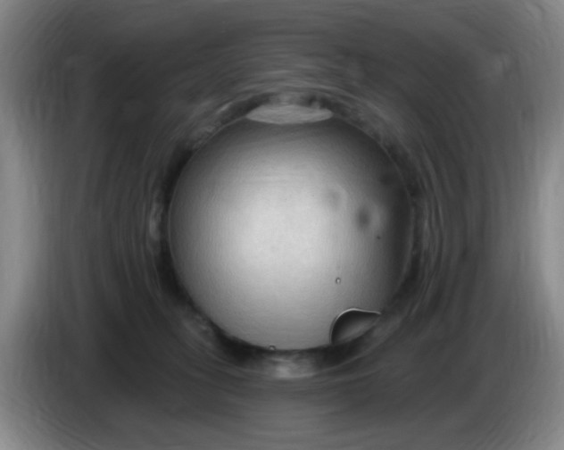 X0000083970275200703091809