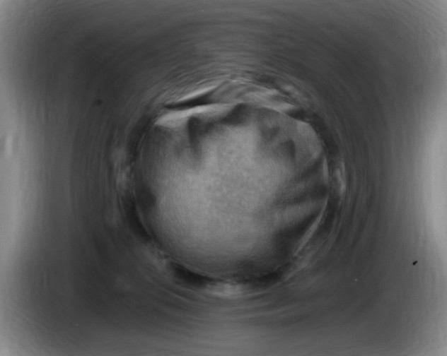 X0000083970276200703091809