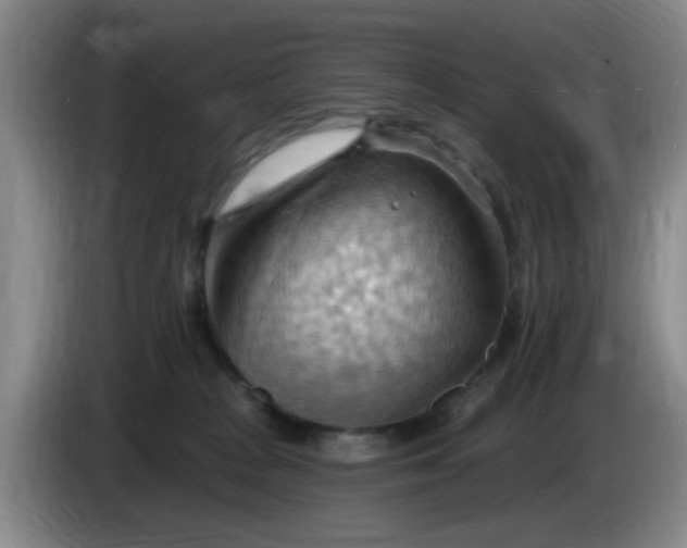 X0000083970277200703091809