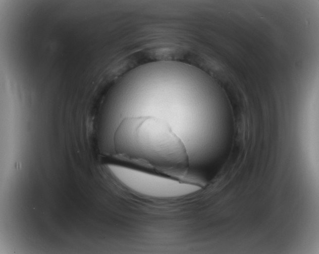 X0000083970278200703091809