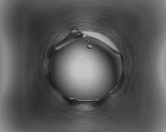 X0000083970280200703091809