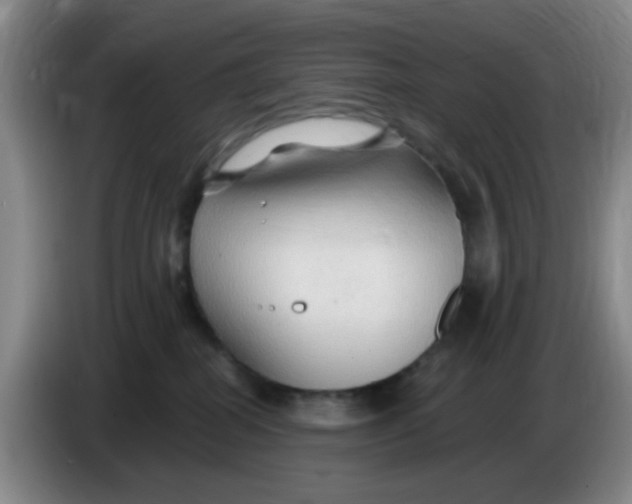 X0000083970282200703091809