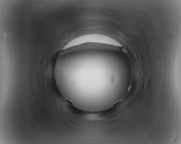 X0000083970283200703091809
