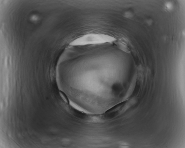 X0000083970285200703091809